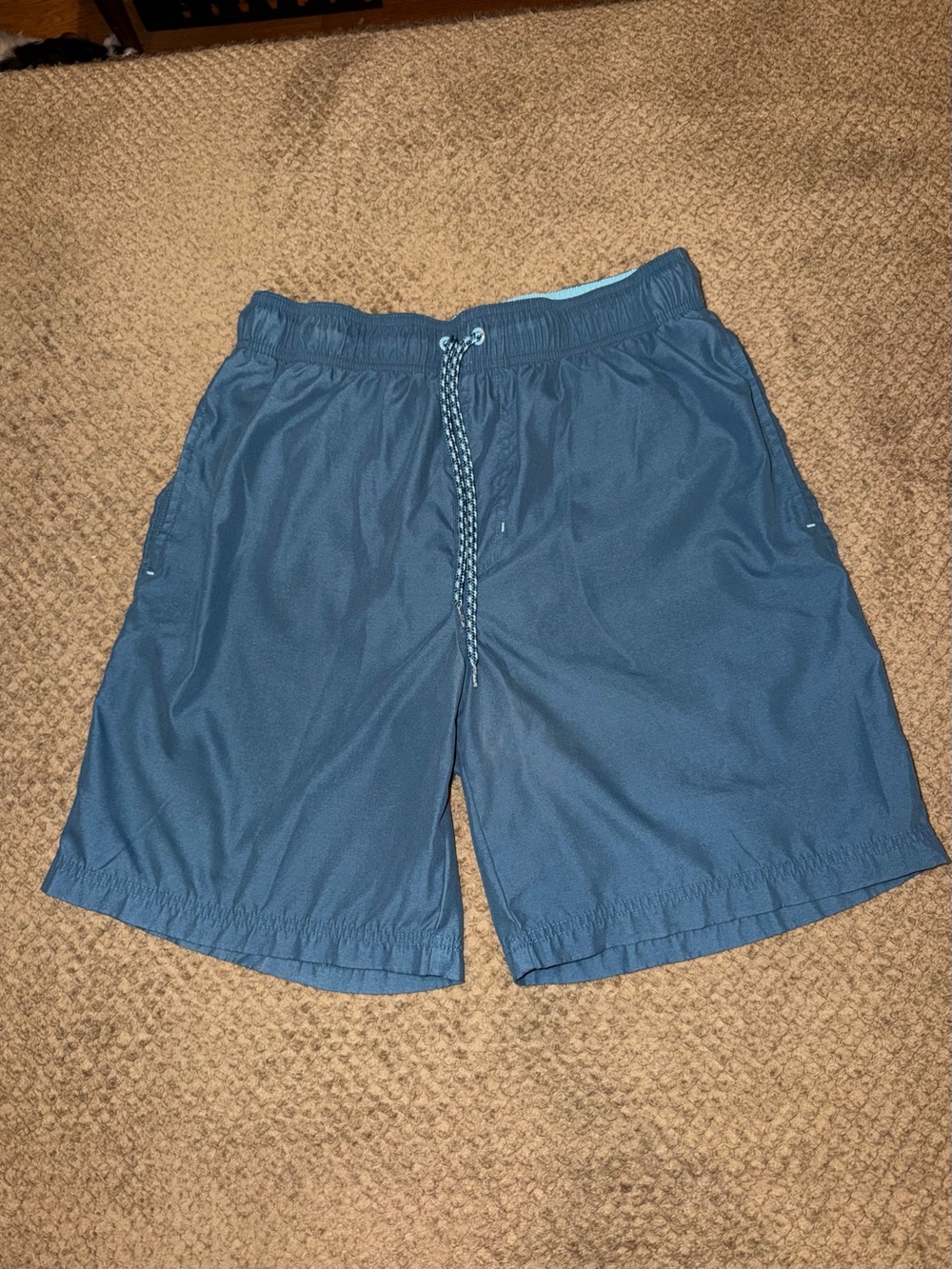George Men's Teal Swim Trunks Size M (32-34)